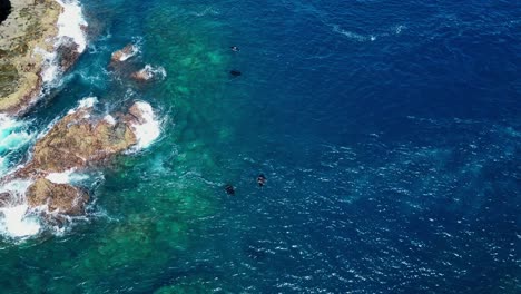 Drone-aerial-view-of-Manta-Rays-feeding-in-strong-current-next-to-a-rocky-island
