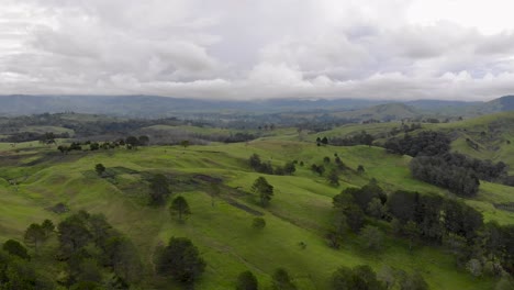 Flug-über-Die-Lebhaften-Grasbewachsenen-Hügel-Des-Hochlandes,-Malerischer-Hintergrund-Von-Papua-Neuguinea