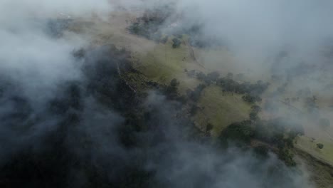 Drones-Volando-Sobre-Las-Nubes-En-El-Bosque-De-Fanal-Mientras-Los-Laureles-Son-Visibles-En-El-Suelo
