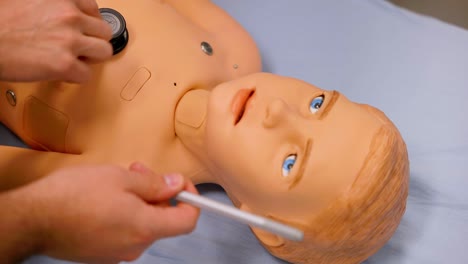 Close-up-of-а-realistic-doll-for-practicing-medical-examinations-by-students-and-medical-professionals