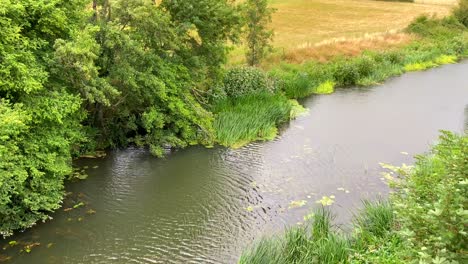 Wunderschöner-Fluss-Unter-Einer-Metallbrücke-Mit-Grünen-Feldern-Und-Waldbäumen-In-Chippenham,-England,-4K-Aufnahme