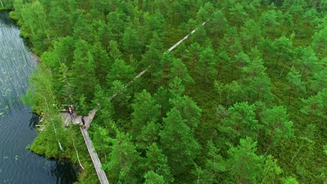 Lush-forest-with-people-walking-on-a-boardwalk-by-a-lake,-serene-natural-setting,-aerial-view