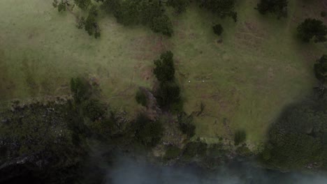 Drohne-Fliegt-über-Den-Wolken-Im-Fanalwald,-Während-Lorbeerbäume-Auf-Dem-Boden-Sichtbar-Sind