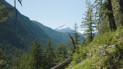 Zoom-out-on-large-mountains-and-trees-with-high-peaks-in-the-distance