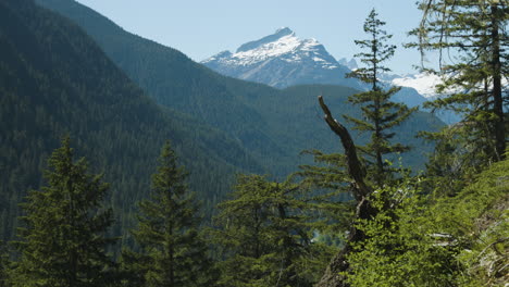 Handheld-shot-looking-at-forest-covered-mountains-with-a-high-mountain-peak-in-the-distance