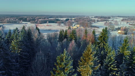 Luftaufnahme,-Schneebedecktes-Winterland-Mit-Nadelbäumen,-Die-Eine-Ruhige-Schönheit-Bieten