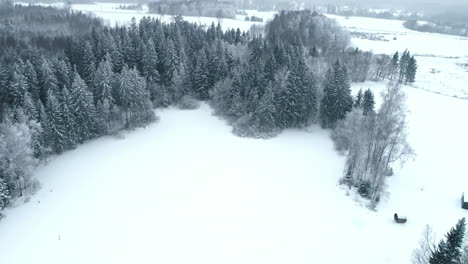 Aerial-view-of-snowy-field-and-cabins-near-coniferous-forest-in-winter