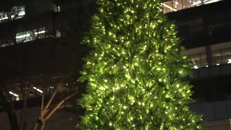 Mittlere-Parallaxenaufnahme-Eines-Sehr-Großen-Grünen-Weihnachtsbaums-Mit-Nur-Leuchtendem-Lichterkettenlicht,-Das-Nachts-In-Einer-Stadt-Scheint,-Die-Von-Beleuchteten-Gebäuden-Im-Hintergrund-Umgeben-Ist