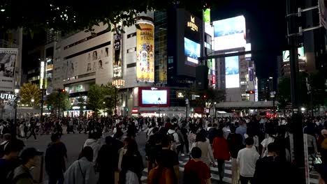 Grandes-Multitudes-Ocupadas-Caminando-Por-El-Icónico-Cruce-De-Shibuya-Por-La-Noche