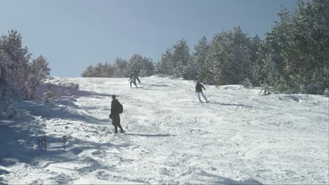 Jóvenes-Esquiadores-Deslizándose-Por-Laderas-En-Cámara-Lenta-Estación-De-Esquí-Invierno-Soleado
