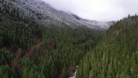 Snowline-of-alpine-mountain-forest-showing-fresh-snow-on-trees-as-drone-flys-through-forest