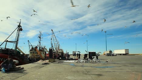 Busy-Comodoro-Rivadavia-fishing-port-with-boats,-seagulls-flying,-and-people-working