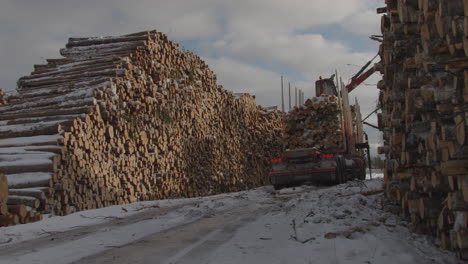 Timber-warehouse-with-stacked-logs-with-machine-in-movement