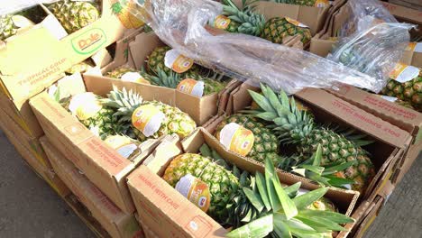 Nahaufnahme-Von-Frischen-Ananas,-Die-In-Pappverpackungen-An-Einem-Stand-Am-Straßenrand-Aufbewahrt-Werden-Und-Auf-Die-Sonnenlicht-Auf-Dem-Obstgroßhandelsmarkt-In-Yau-Ma-Tei,-Hongkong,-Fällt