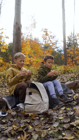 Kids-sitting-on-a-dead-tree