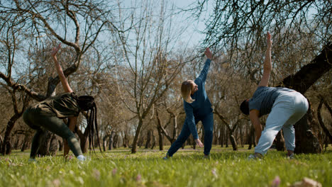 People-stretching-in-the-forest