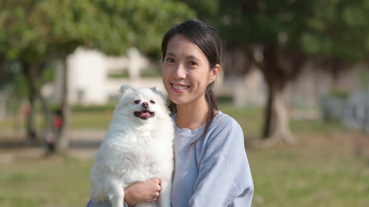 Free stock video - Woman and dog