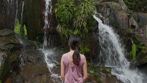 Wasserfall-Im-Fluss-Eines-Tropischen-Waldes