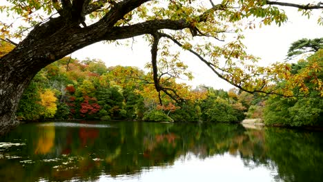 Herbstsee-In-Japan