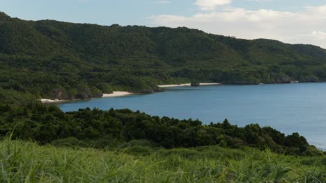 Ishigaki-Inselwald