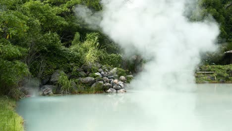 Forest-with-a-natural-pool-of-hot-springs