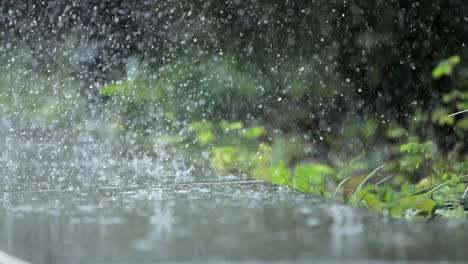 Close-up-view-of-the-rain