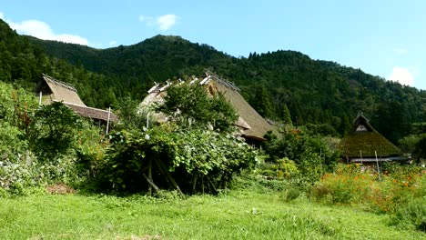 Traditionelles-Dorf-In-Japan
