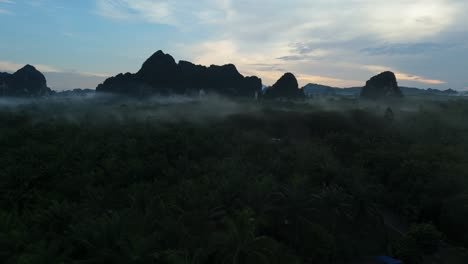 Early-Morning-Mist-Sunrise-over-Palm-Oil-Plantation-in-Krabi,-Agricultural-Business-and-Land-Development