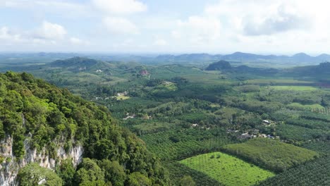 Limestone-Karst-Cliffs-surrounded-by-Agricultural-Land-Rubber-Tree-and-Oil-Palm-Plantations-Cash-Crop-Top-Export-Carbon-Sink-Biofuel