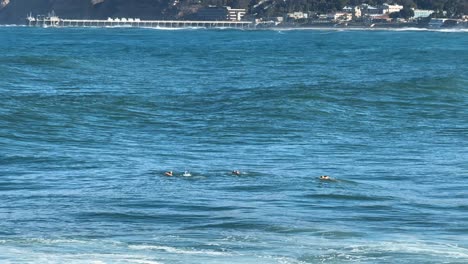 Imágenes-De-4k-De-Nadadores-Del-Océano-De-Agua-Ruff-Con-Grandes-Olas-Durante-La-Marea-Alta-En-La-Cala-De-La-Jolla-En-San-Diego,-California