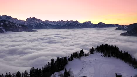 Aerial-dolly-above-pine-tree-forest-to-reveal-sea-of-fog-and-rugged-mountains-Arvenbüel,-Switzerland