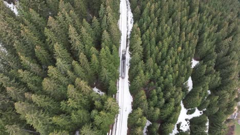 Switzerland-mountain-railway,-train-go-uphill-through-evergreen-forest