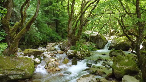 The-river-meanders-through-green-forest-trees-and-lush-greenery,-creating-a-scene-of-captivating-beauty-in-Kouiassa-waterfall,-Epirus