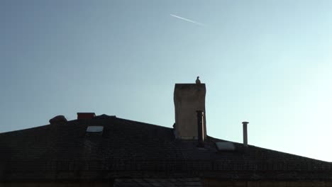 Silhouette-of-a-bird-perched-on-a-rooftop-chimney-against-a-clear-blue-sky