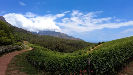Scenic-Farm-Winery-In-Constantia-Valley-In-South-Africa---Panning-Shot
