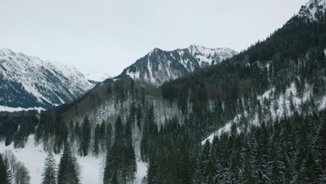 Luftaufnahme-Eines-Dichten,-Schneebedeckten-Kiefernwaldes-Mit-Bergkulisse-Im-Winter