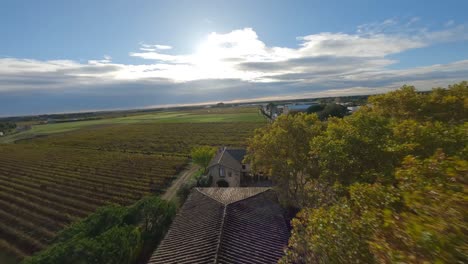 Sunlit-vineyard-in-Baillargues,-Southern-France---FPV-drone-flyover