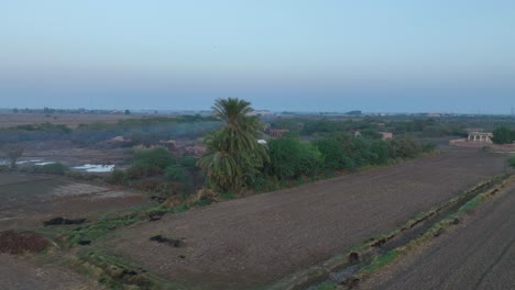 Ländliche-Morgendämmerung-Im-Dorf-Nawabshah,-Sindh---Luftaufnahme