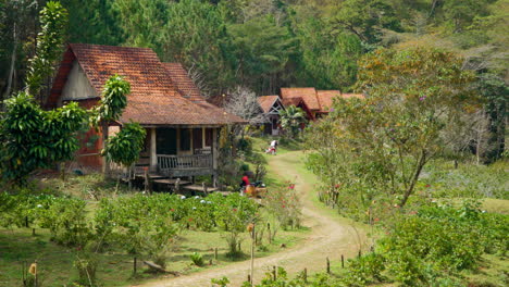 Cu-Lan-Folk-Village,-Fachwerkhäuser-Zu-Vermieten,-Umgeben-Von-Einem-Ruhigen-Wald-Und-Einem-Gewundenen-Gehweg