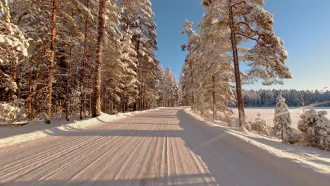 Pov-Malerische-Winterfahrt-Im-Eisigen,-Schneebedeckten,-Sonnenverwöhnten-Wald-Finnlands
