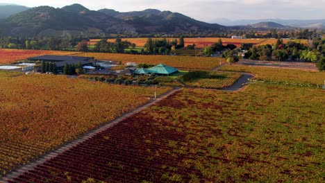 Slow-aerial-pull-back-of-vineyard-Winery-Farm-with-rolling-mountains-and-colorful-red,-orange,-yellow,-autumn-leaves-on-vines