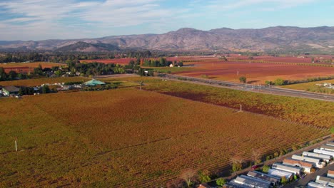 Aerial-side-pan-of-rolling-mountains-and-colorful-yellow,-red,-and-yellow-leaves-on-Napa-Valley-vineyard-leaves