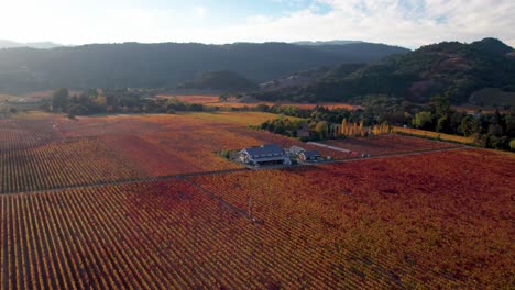 Aerial-of-vibrant-colorful-yellow,-orange,-red,-green-autumn-leaves-over-winery-in-the-Napa-Valley-California