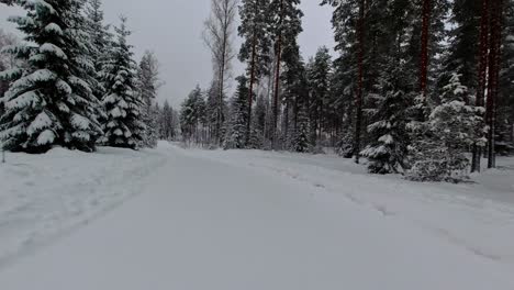 POV-drive-through-snow-covered-icy-forests-in-dull-Northern-climate