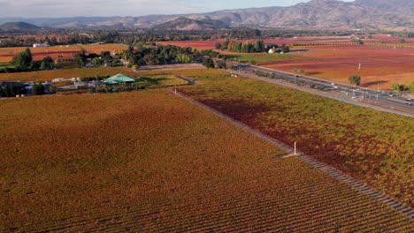 Aerial-of-vibrant-saturated-autumn-vineyard-leaves-over-beautiful-winery-in-the-Napa-Valley