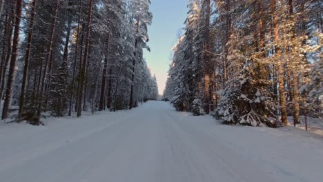 Rasantes-Fahren,-POV-In-Einer-Verschneiten-Allee-Mit-Winterwaldbäumen,-Sonniger-Tag