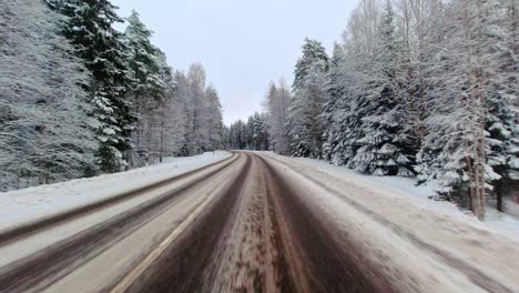 Frozen-forest-tree-landscape-along-icy-winter-road,-POV-driving-travel