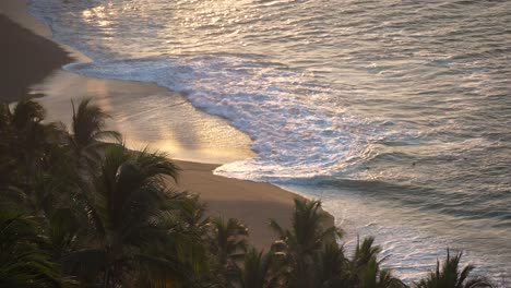 Ocean-waves-brushing-up-on-golden-sandy-shore-in-the-early-morning-on-a-tropical-beach-filled-with-palm-trees