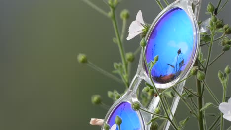 Glasses-flowers---beautiful-