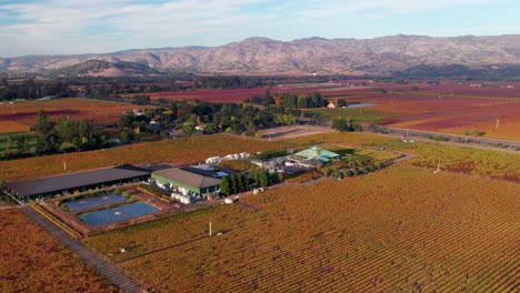 Luftaufnahmen-Von-Sanften-Bergen-Und-Farbenfrohen,-Lebendigen-Weinberglandschaften-Im-Napa-Valley-In-Kalifornien